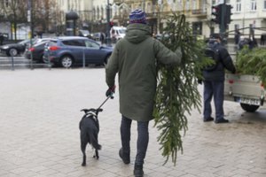 Atskleidė, kiek šiemet išleisite kalėdinei eglutei: Lietuvoje išpopuliarėjo ir nauja paslauga