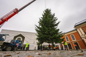 Klaipėda žada įspūdingą kalėdinį reginį: virš jūros – žvaigždžių instaliacija