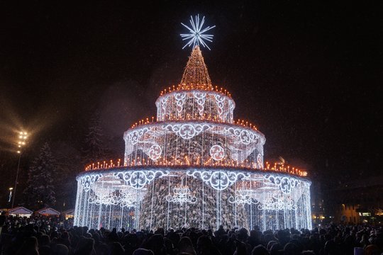 Vilniaus Kalėdų eglė.<br>T.Bauro nuotr.