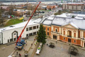 Į Klaipėdos centrą jau atkeliavo Kalėdų eglė – puošiant žaliaskarę žada laikytis tradicijų