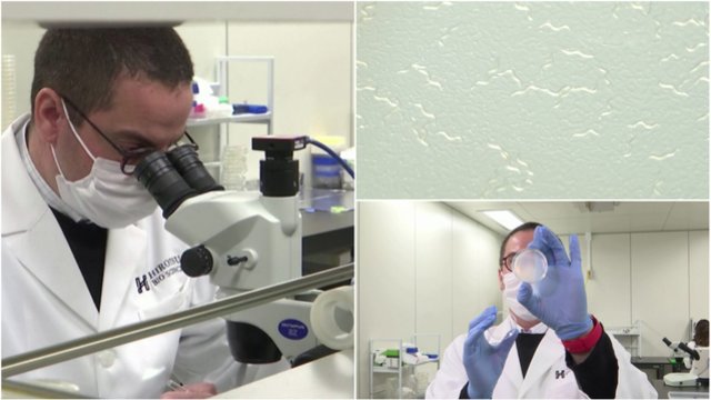 Proveržis medicinoje: biotechnologai Japonijoje kasos vėžio diagnostikai pasitelkė į pagalbą kirminus