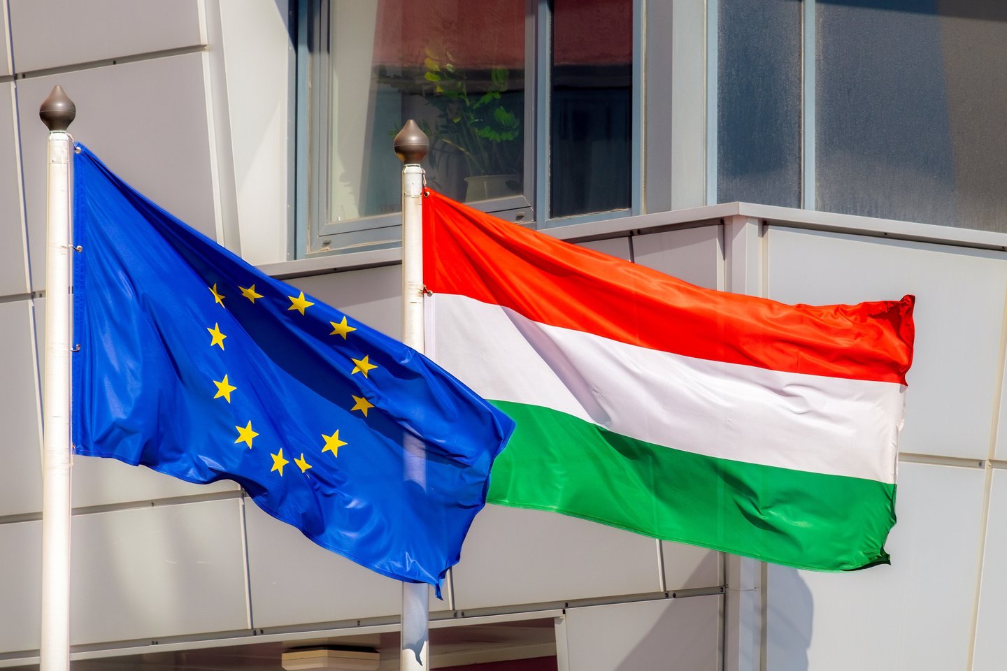  ES ir Vengrijos vėliavos.<br>123rf.com nuotr.