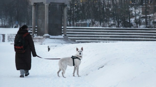 Pirmąją žiemos dieną sniego nežadama: džiugins pasirodžiusi saulė