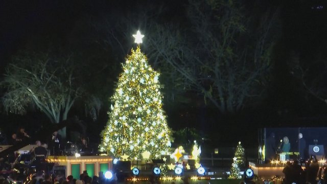 Baltuosiuose rūmuose – jubiliejinis Kalėdų eglės įžiebimas: žaliaskarę puošia tūkstančiai lempučių