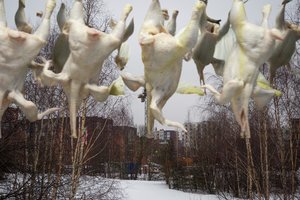 Beprecedentė situacija: dėl priimtų įstatymų įkaitais tapo 800 žemės sklypų savininkai