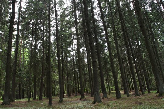 Klimatui neutralus žemės ūkio sektorius – misija įmanoma