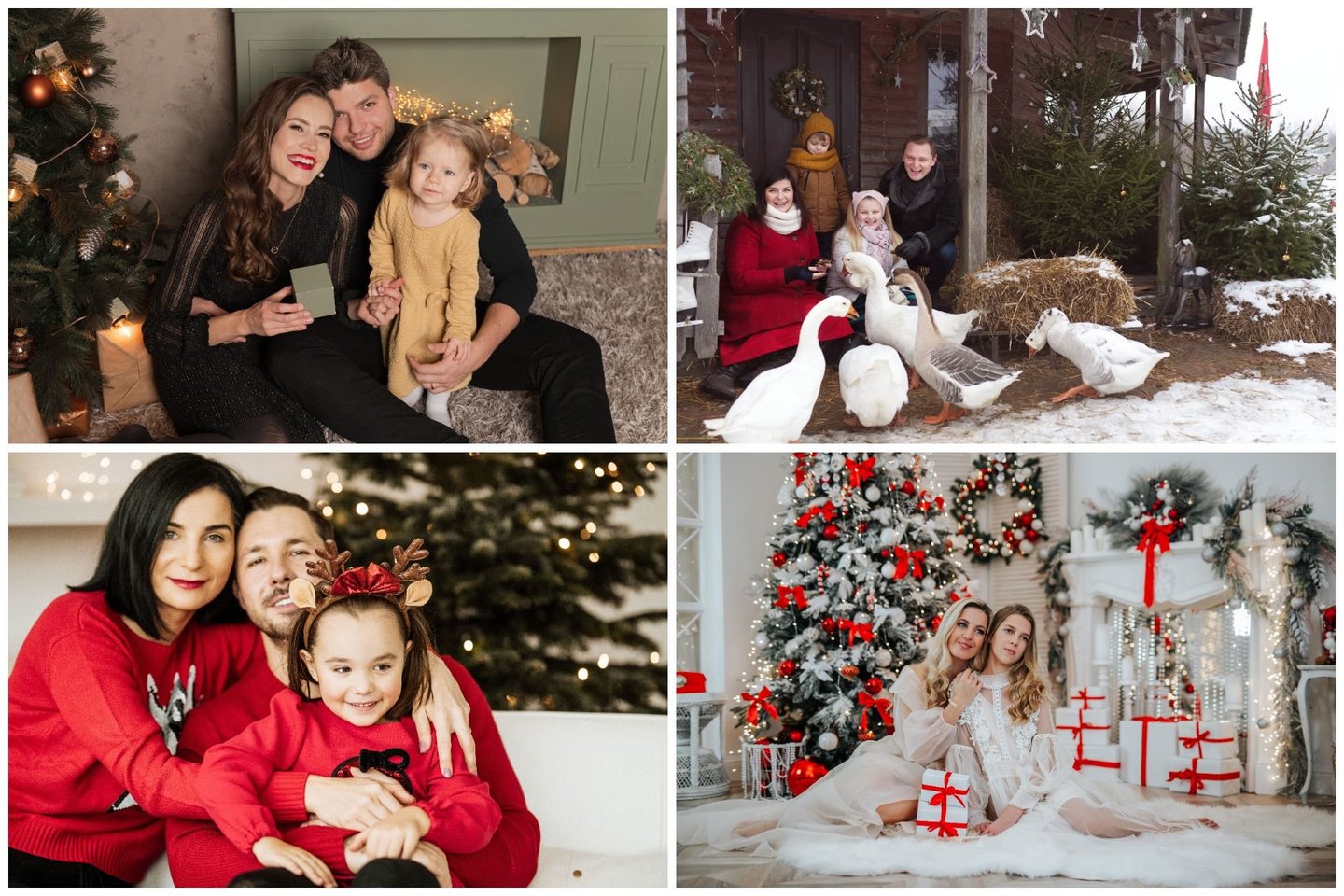  Baigiantis metams žinomų šeimų albumus papildo kalėdinių fotosesijų nuotraukos.<br> Lrytas.lt koliažas.
