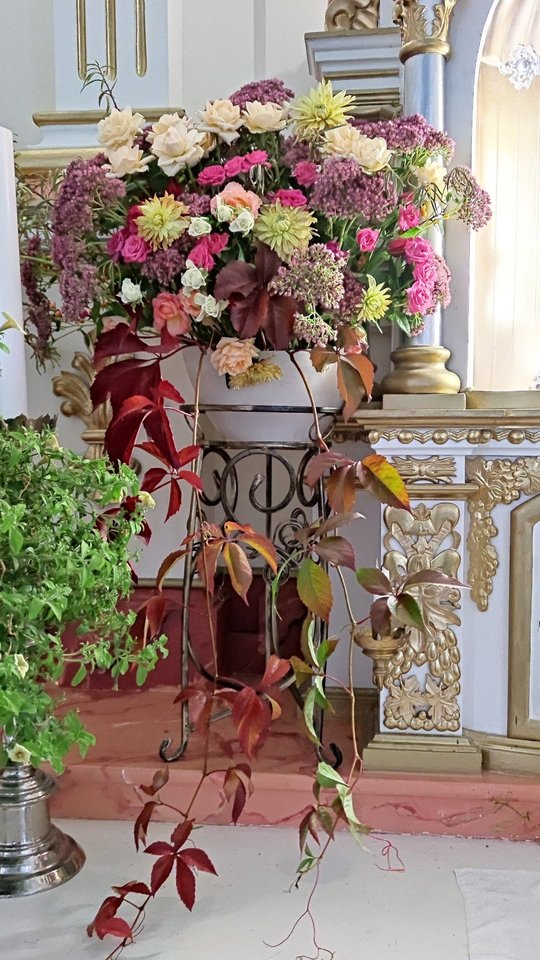 Prieš sekmadienio mišias kelias valandas klebonas skiria bažnyčios puošybai gėlėmis.<br> Išlaužo parapijos archyvo nuotr.