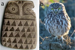 Ne ritualiniai reikmenys, o visai kas kita: mokslininkai pakeitė nuomonę apie neįprastus radinius