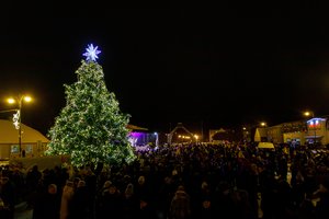 Daugiau kaip 40 metų žaliavusi eglė Rokiškyje virto tikra Kalėdų karaliene 