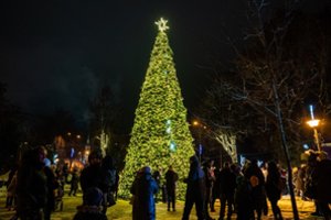 Auksu tviskančią Kalėdų eglę pristačiusi Šilalė surengė įspūdingą šou