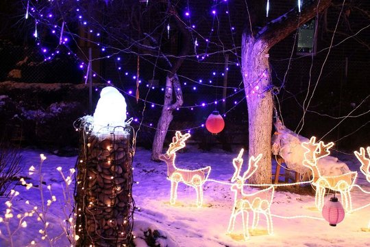 Pasakė, kur mesti kalėdines dekoracijas: prašo pagalvoti, kokią žalą gali padaryti neapgalvotas veiksmas