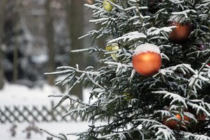 Įspėja apie reidus Lietuvoje dėl Kalėdų eglių: gresia baudos iki 600 eurų