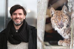 Vievyje įsisukus įžūliai lūšiai – žmonių pagalbos šauksmas: kreipėsi į žinomą gamtininką M. Čepulį