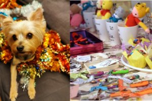 Prasideda šventiniai renginiai, vienas jų – kalėdinė mugė beglobiams gyvūnams paremti