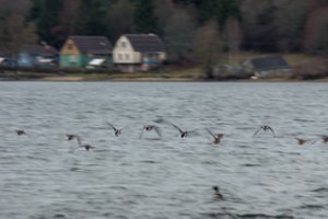 Vyriausybė pritarė Suvalkijos (Sūduvos) nacionalinio parko planavimo schemos rengimo pradžiai