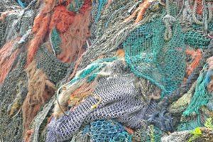 Planą tinklus ežere laikyti keturias paras sujaukė Utenos aplinkosaugininkai