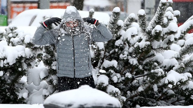 Lietuvoje įsitvirtins tikra žiema: daugelyje rajonų snigs, pustys