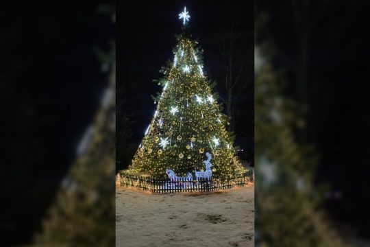  Pagėgiuose įžiebta Kalėdų eglė.<br> Pagėgių savivaldybės kultūros centro nuotr.