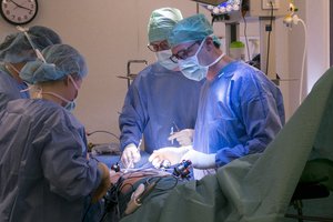 Apie organų donorystę nuo pradžių: kokie organai ir audiniai gali būti dovanojami