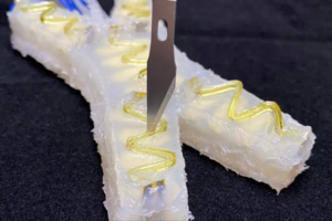 Save gydantis robotas po dūrių peiliu pasigydė ir nuropojo savo keliais