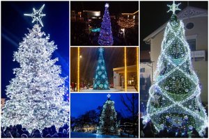 Vakarų Lietuvoje Kalėdų eglės žavi natūralumu: netrukus šventinė nuotaika apims visą pajūrį