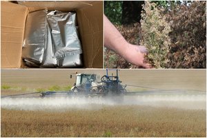 Garsios įmonės valdose – subruzdimas: policijai įkliuvo ir vienas iš vadovų, ir jo mama   