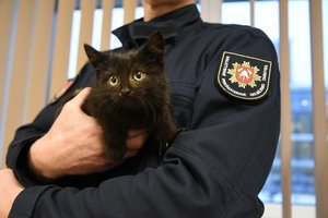 Vilniuje juodą katinėlį ugniagesiai vos ištraukė iš automobilio variklio, bet parsivežus į gaisrinę nuotykiai nesibaigė