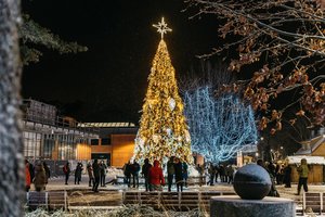 Nidoje įžiebta klasikinė Kalėdų eglė – tikra žiemos karalienė