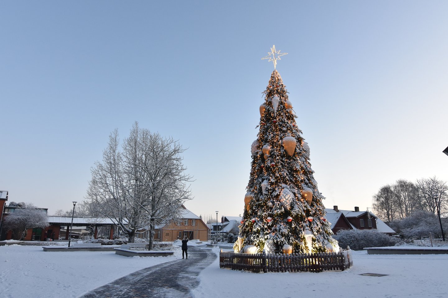  Neringoje įžiebta Kalėdų eglė.<br> Neringos savivaldybės nuotr.