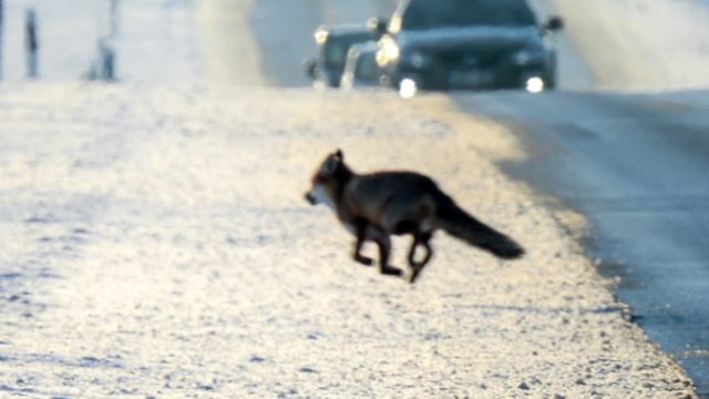 Savaitgalis saulės spinduliais nebus dosnus: netrūks debesų, numatomi tik trumpalaikiai pragiedrėjimai