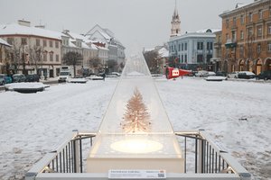 Įžiebė vieną išskirtiniausių Kalėdų eglių: ar matėte tokią?