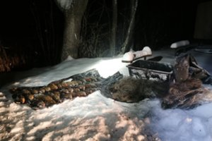 Nepasimokė: aplinkosaugininkams įkliuvo ne pirmą kartą ir susimokės apie 2700 eurų