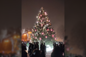 Įžiebta Pasvalio Kalėdų eglė jau renka komplimentus: aikščiojo ir vietiniai, ir svečiai