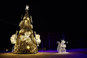 „Pasakų miesto princesė“: Lazdijai įžiebė nuostabią Kalėdų eglę, kuriai draugiją palaikė ir voverė