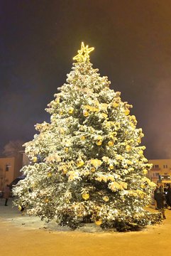 Skuodo Kalėdų eglės įžiebimas.<br> Skuodo rajono kultūros centro nuotr.