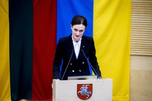 V. Čmilytė-Nielsen: krizių ir karo akivaizdoje prasminga klausti, kaip neprarasti žmogaus