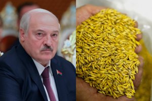 Baltarusija sutinka leisti Ukrainos grūdų tranzitą eksportui per Lietuvos uostus: turi prašymą mainais