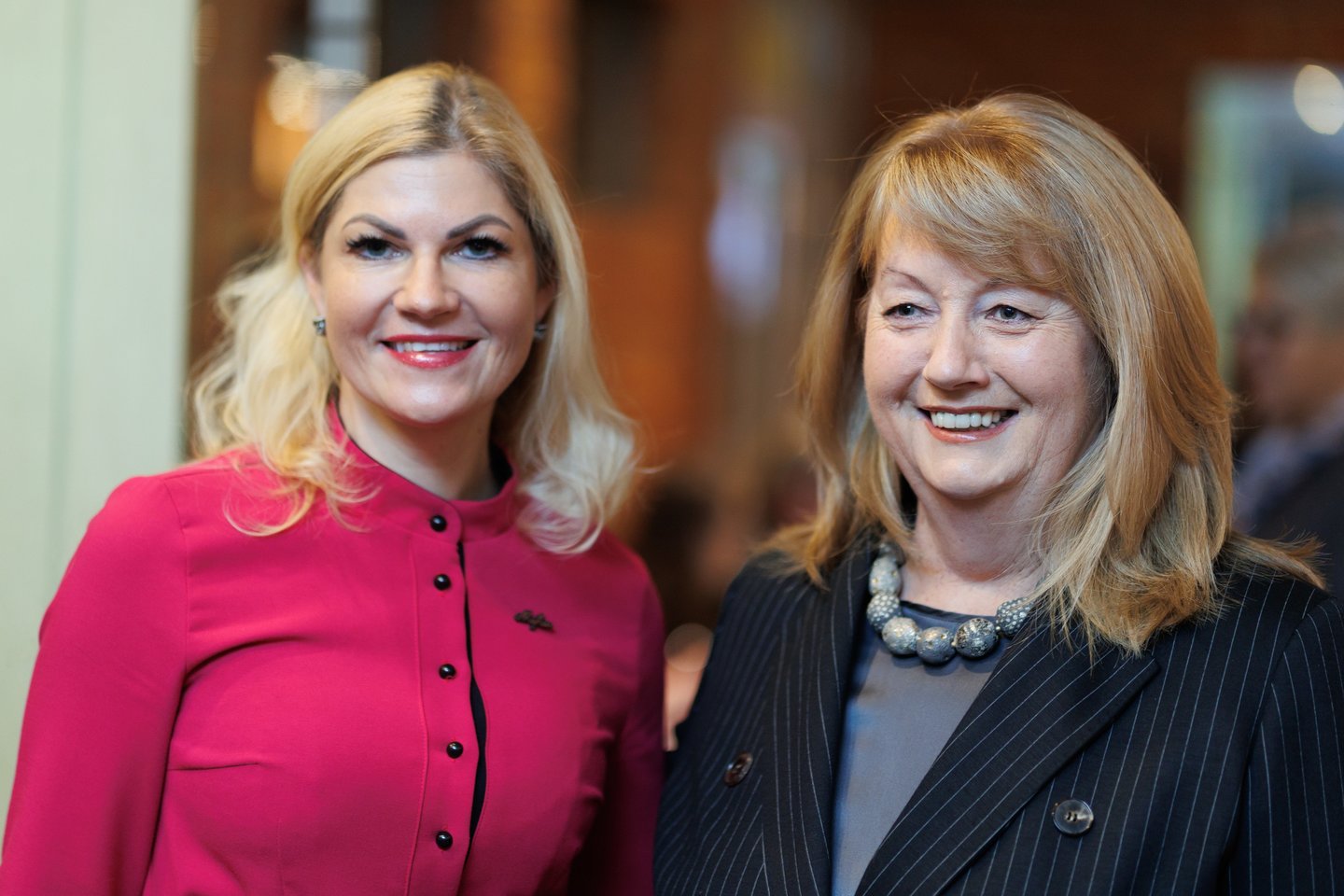 V. Blinkevičiūtė susirinkusiems partiečiams teigė, kad valdantieji neturi kuo pasigirti: Ministrų kabinetui reikia pokyčių.<br> T.Bauro nuotr.