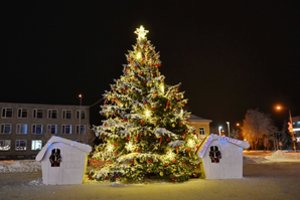 Pakruojyje suspindo ir gamtos išpuošta Kalėdų eglė: vaizdas – lyg iš šventinio atviruko