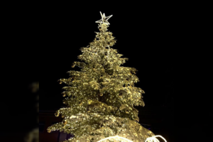 Kelmė svečius vilioja pasitelkę gražią Kalėdų eglės suknią