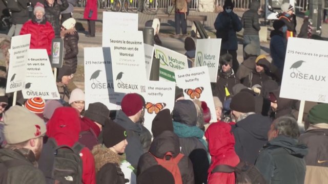 Monrealyje aktyvistų neišgąsdino šaltis – apsirengę įvairiais kostiumais reikalavo susitarimo dėl gamtos apsaugos