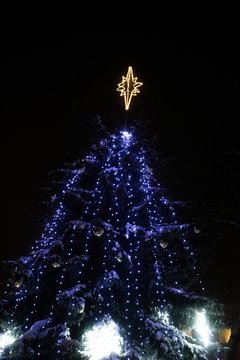  Ariogalos Kalėdų eglės įžiebimas.<br> Raseinių kultūros centro nuotr.