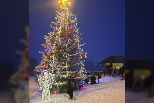Gražuolę Kalėdų eglę įžiebusi Kalvarija vienu metu pažymėjo du svarbius momentus