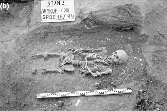 Šalia Lietuvos neįprastoje vietoje aptiktas labai neįprasto vyro kapas