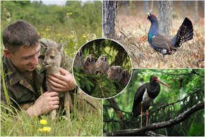 „Laukiniu“ save vadinantis gamtos fotografas: dėl išskirtinio kadro slėptuvėje tenka praleisti ir 15 valandų