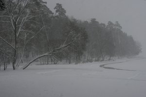 Dėl gausaus sniego – problemų virtinė: nuverstų medžių šalinti vyko 108 kartus, teko gelbėti ir medikų automobilį, ir autobusą