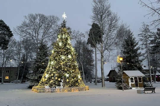  Pagėgiuose įžiebta Kalėdų eglė.<br> Pagėgių savivaldybės nuotr.