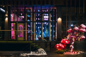 Tik pažvelkite: gimtinėje augusį medį plaukų stilistė pavertė kalėdinės pasakos dalimi