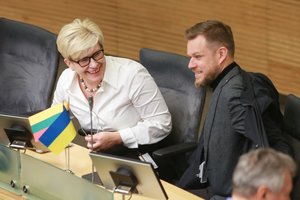 G. Landsbergis įvertino valdančiųjų darbą: jūra audringesnė nei buvome susiruošę plaukti, bet laivas nesudužo